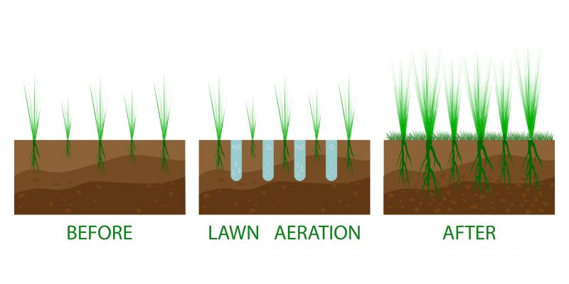 Aeration And Seeding