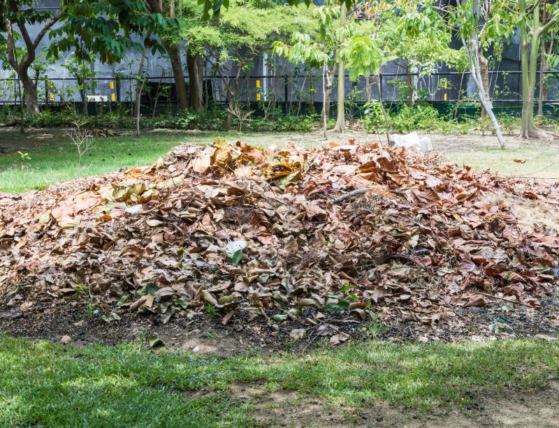 Brush Cleanup Service in Honolulu, HI