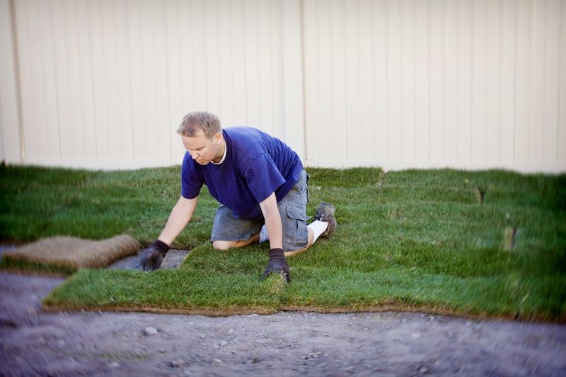 Grass Replacement in Rockwall, TX