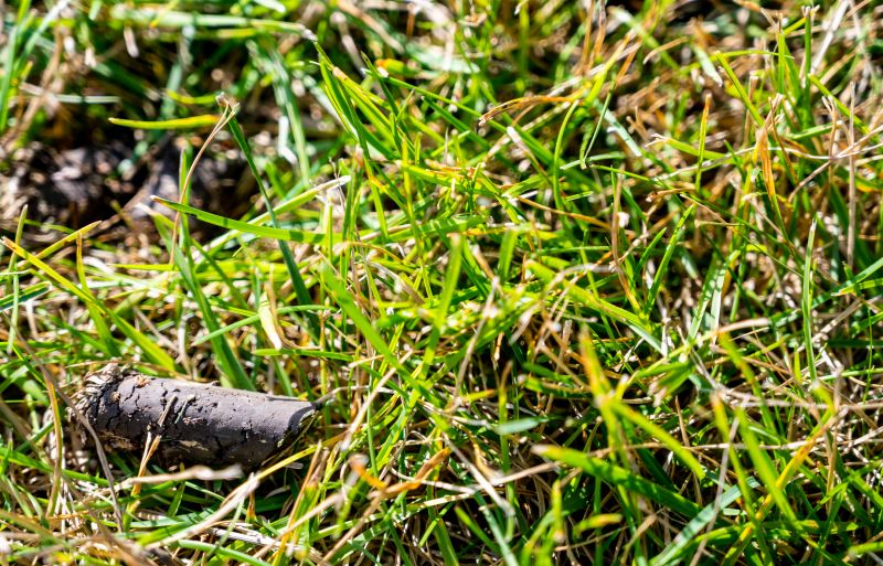How To Tell When Your Lawn Needs Aeration