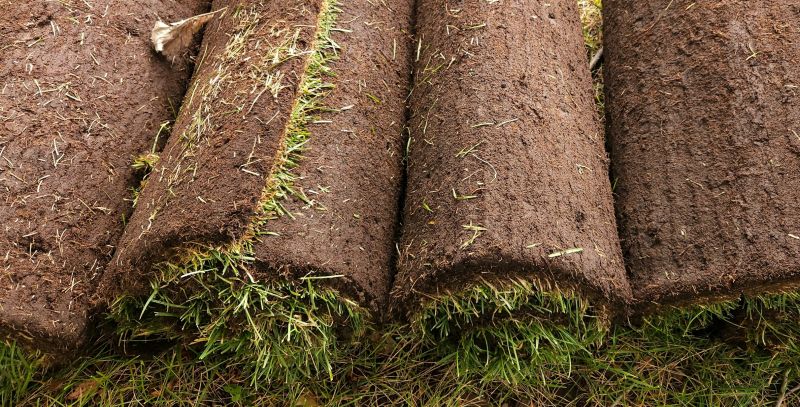 Sod Replacement in Ventura County, CA