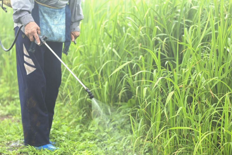 Weed Spraying in Honolulu, HI