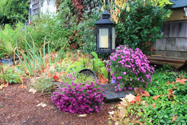 Gardening And Lawn Care